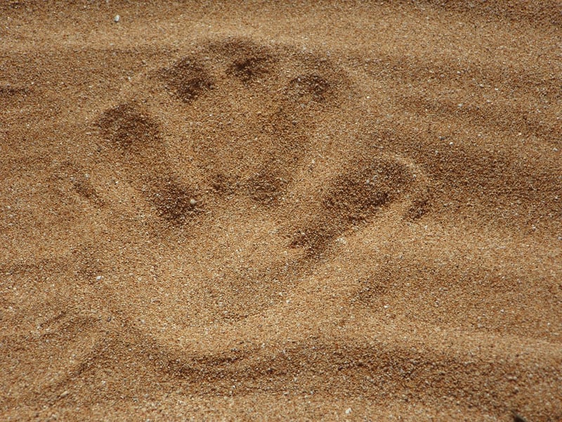 Handprint Art