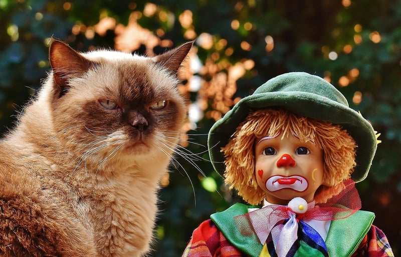 Storytelling with Puppets